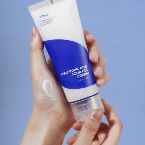 Isntree Moisturizer 100ml